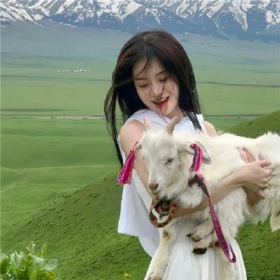 闪光的乐队 海报