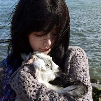 叛狱风云 海报